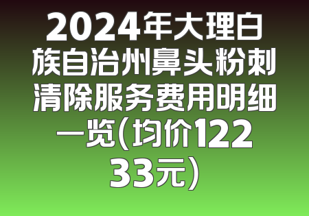 2024年大理白族自治州鼻头粉刺清除服务费用明细一览（均价12233元）