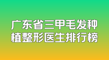 广东省三甲毛发种植整形医生排行榜