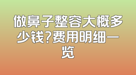做鼻子整容大概多少钱？费用明细一览