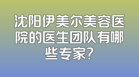 沈阳伊美尔美容医院的医生团队有哪些专家？