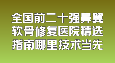 全国前二十强鼻翼软骨修复医院精选指南哪里技术当先