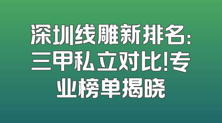 深圳线雕新排名：三甲私立对比！专业榜单揭晓