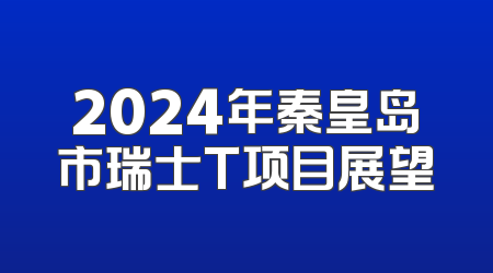 2024年秦皇岛市瑞士T项目展望
