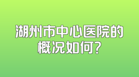 湖州市中心医院的概况如何？