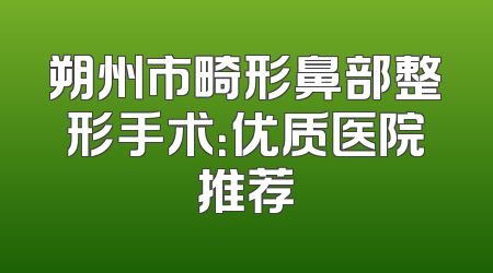 朔州市畸形鼻部整形手术：优质医院推荐