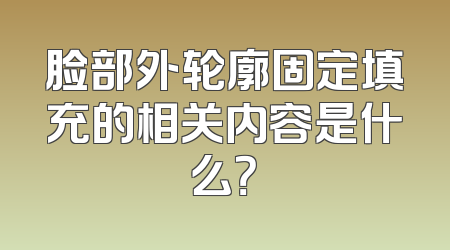 脸部外轮廓固定填充的相关内容是什么？