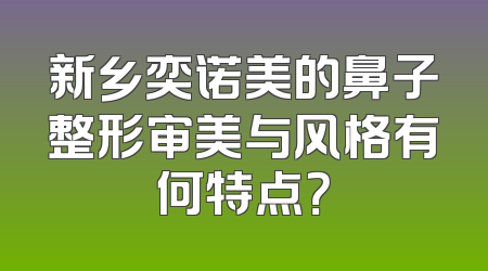 新乡奕诺美的鼻子整形审美与风格有何特点？