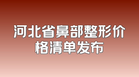 河北省鼻部整形价格清单发布
