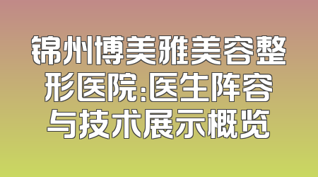锦州博美雅美容整形医院：医生阵容与技术展示概览