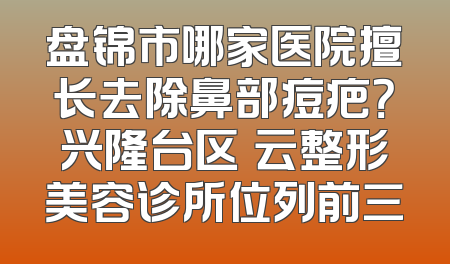 盘锦市哪家医院擅长去除鼻部痘疤？兴隆台区琇云整形美容诊所位列前三