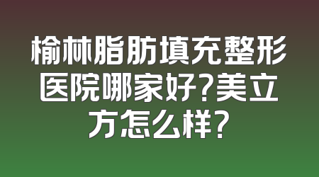 榆林脂肪填充整形医院哪家好？美立方怎么样？