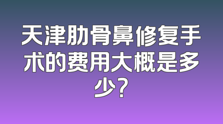 天津肋骨鼻修复手术的费用大概是多少？