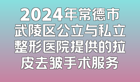 2024年常德市武陵区公立与私立整形医院提供的拉皮去皱手术服务