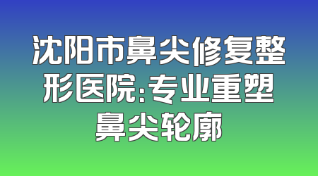 沈阳市鼻尖修复整形医院：专业重塑鼻尖轮廓