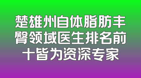 楚雄州自体脂肪丰臀领域医生排名前十皆为资深专家
