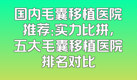 国内毛囊移植医院推荐：实力比拼，五大毛囊移植医院排名对比