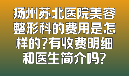 扬州苏北医院美容整形科的费用是怎样的？有收费明细和医生简介吗？