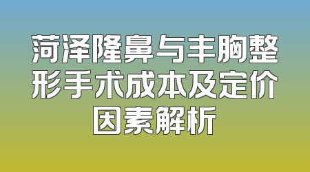 菏泽隆鼻与丰胸整形手术成本及定价因素解析