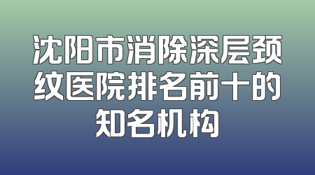 沈阳市消除深层颈纹医院排名前十的知名机构
