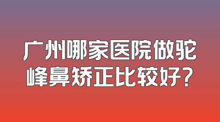 广州哪家医院做驼峰鼻矫正比较好？