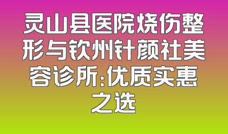 灵山县医院烧伤整形与钦州针颜社美容诊所：优质实惠之选