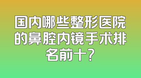国内哪些整形医院的鼻腔内镜手术排名前十？
