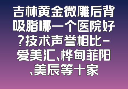 吉林黄金微雕后背吸脂哪一个医院好？技术声誉相比-爱美汇、桦甸菲阳、美辰等十家