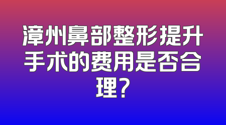 漳州鼻部整形提升手术的费用是否合理？