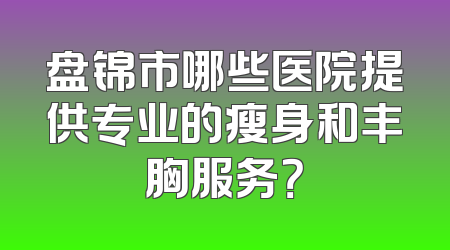 盘锦市哪些医院提供专业的瘦身和丰胸服务？