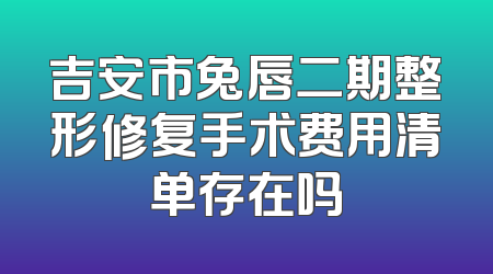 吉安市兔唇二期整形修复手术费用清单存在吗
