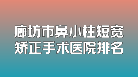 廊坊市鼻小柱短宽矫正手术医院排名