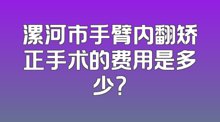 漯河市手臂内翻矫正手术的费用是多少？