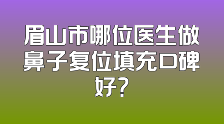 眉山市哪位医生做鼻子复位填充口碑好？