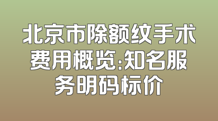 北京市除额纹手术费用概览：知名服务明码标价