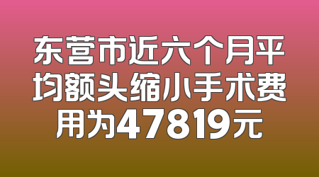 东营市近六个月平均额头缩小手术费用为47819元