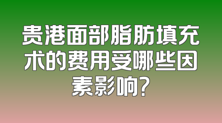 贵港面部脂肪填充术的费用受哪些因素影响？