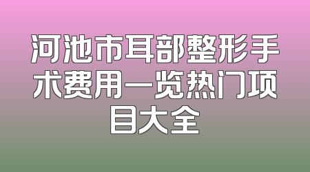 河池市耳部整形手术费用一览热门项目大全