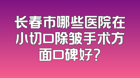 长春市哪些医院在小切口除皱手术方面口碑好？