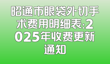 昭通市眼袋外切手术费用明细表：2025年收费更新通知