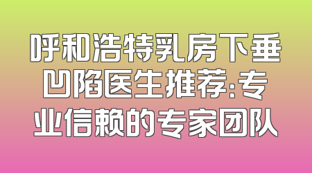 呼和浩特乳房下垂凹陷医生推荐：专业信赖的专家团队