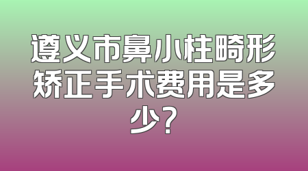 遵义市鼻小柱畸形矫正手术费用是多少？