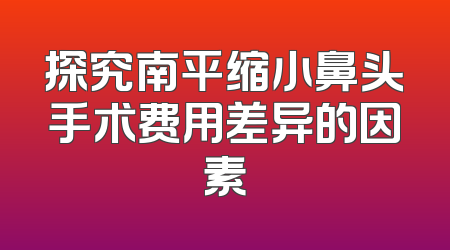 探究南平缩小鼻头手术费用差异的因素