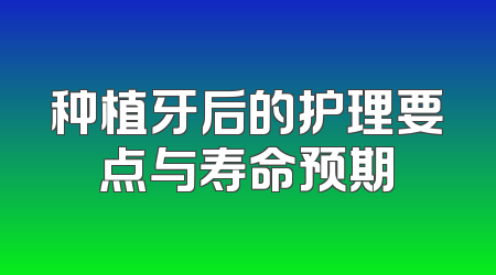 种植牙后的护理要点与寿命预期