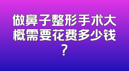 做鼻子整形手术大概需要花费多少钱？