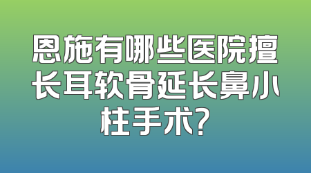 恩施有哪些医院擅长耳软骨延长鼻小柱手术？
