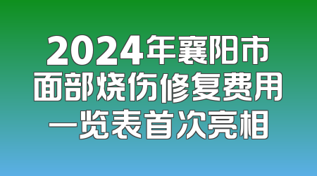 2024年襄阳市面部烧伤修复费用一览表首次亮相