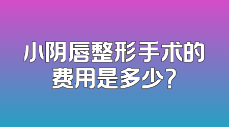 小阴唇整形手术的费用是多少？
