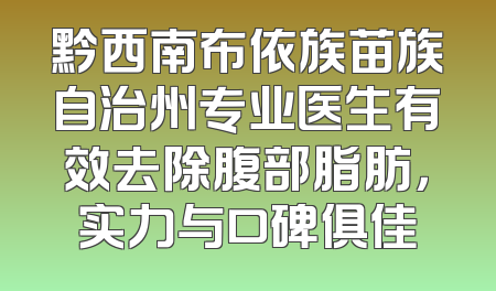 黔西南布依族苗族自治州专业医生有效去除腹部脂肪，实力与口碑俱佳
