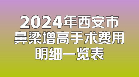 2024年西安市鼻梁增高手术费用明细一览表