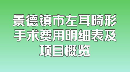 景德镇市左耳畸形手术费用明细表及项目概览